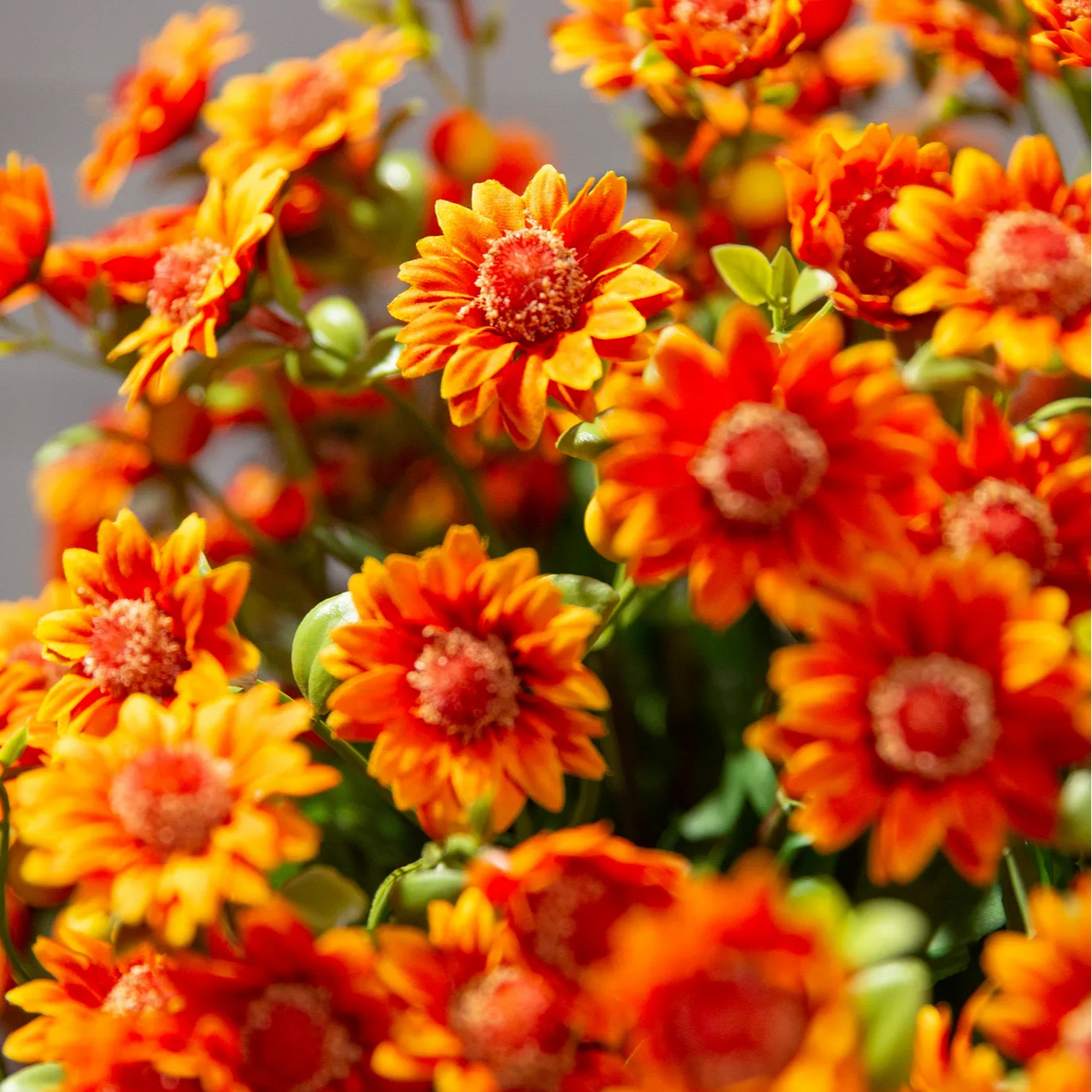 ⚡Last Day 70% OFF🌼Welcome autumn- Artificial Outdoor Sunset Mums Flowers - UV resistant, Waterproof, Windproof