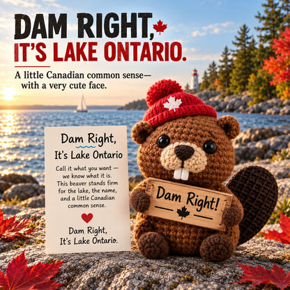 Lake Ontario Emotional Support Beaver | Canadian Crochet Keepsake with Message Card