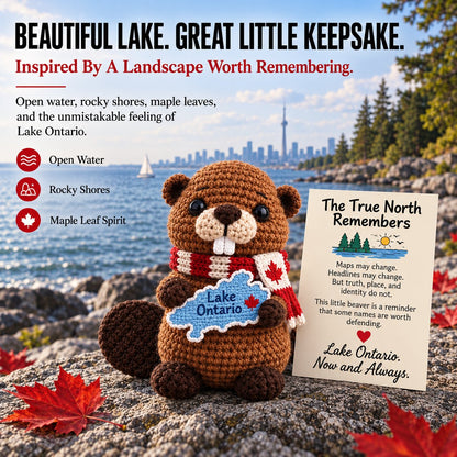Lake Ontario Emotional Support Beaver | Canadian Crochet Keepsake with Message Card