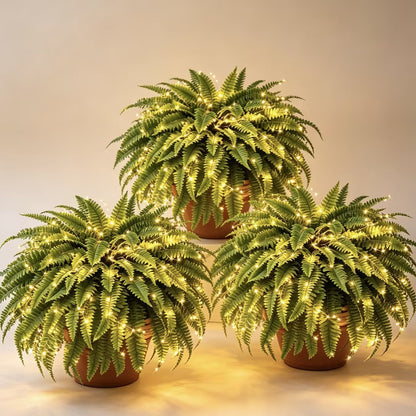 🔥Each $9.99 On Sale Only Today💛Glowing Boston Ferns with Lights – 🌿 Zero Watering, Zero Maintenance