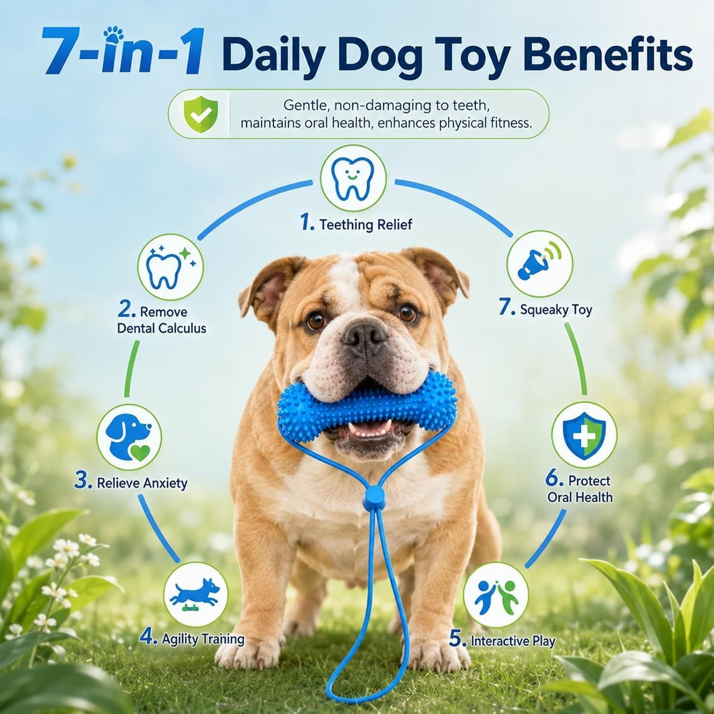 🦷 🐶7-in-1 Dog Toothbrush Chew Toy