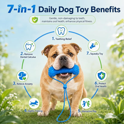 🦷 🐶7-in-1 Dog Toothbrush Chew Toy