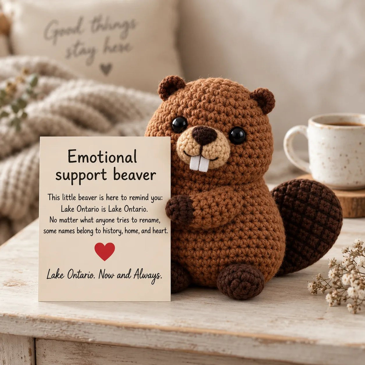 Lake Ontario Emotional Support Beaver | Canadian Crochet Keepsake with Message Card