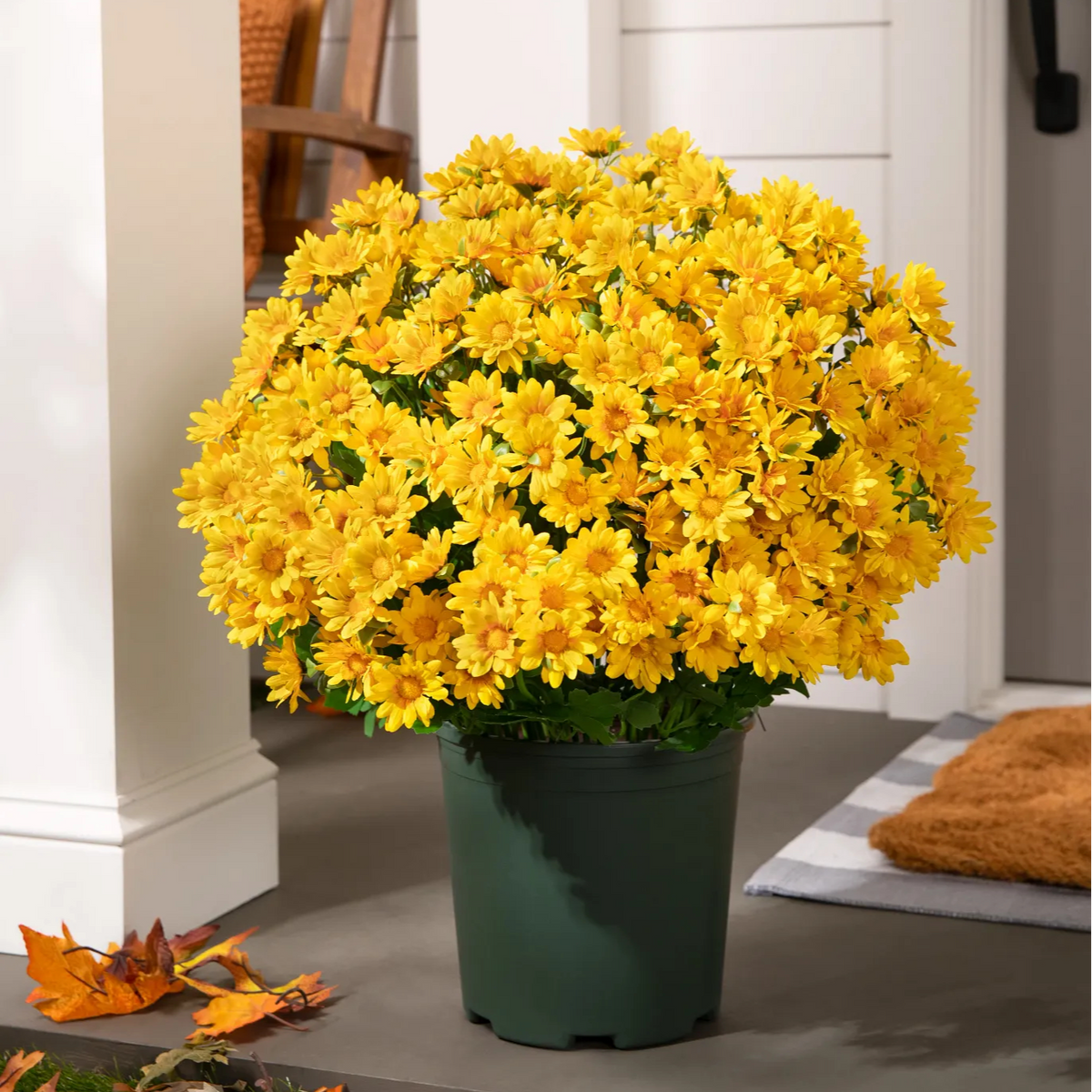 ⚡Last Day 70% OFF🌼Welcome autumn- Artificial Outdoor Sunset Mums Flowers - UV resistant, Waterproof, Windproof