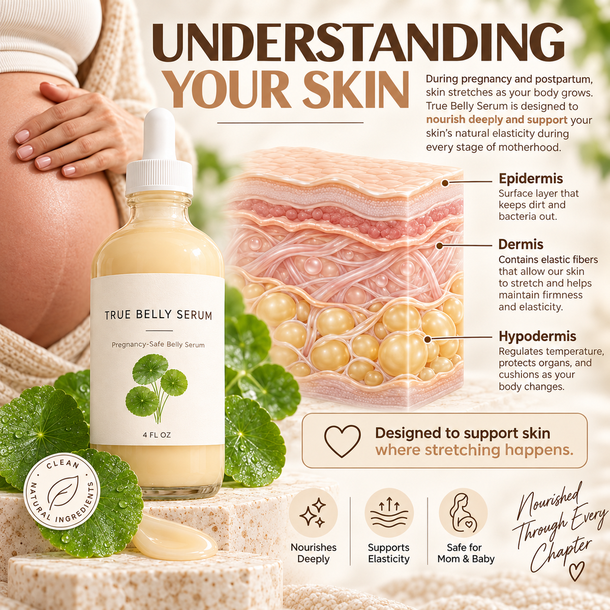 True Belly Serum – Pregnancy Belly Care for Hydration & Skin Elasticity, 4 FL OZ