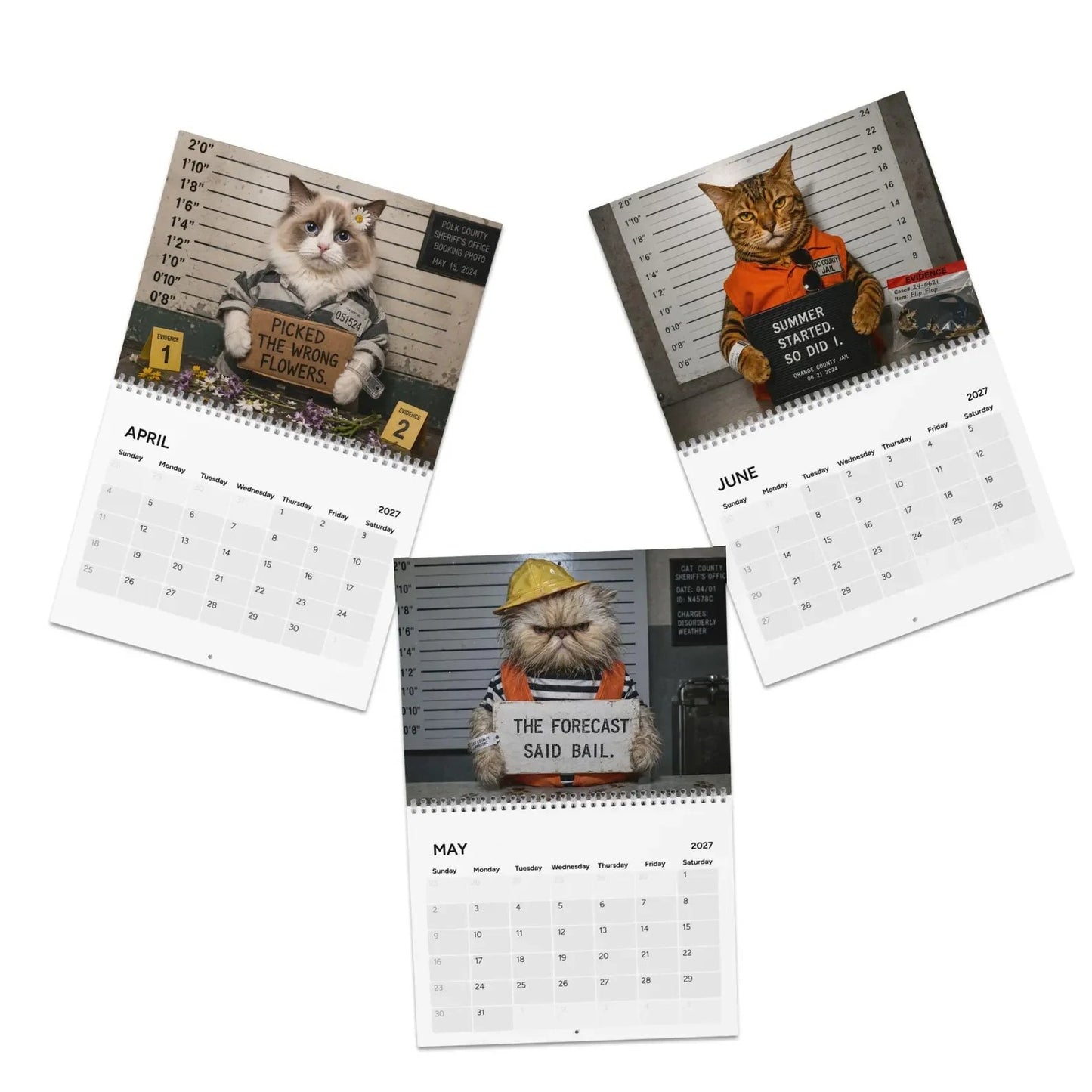 😂 Funny Cat Mugshots 2027 Calendar 📅