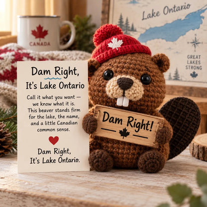 Lake Ontario Emotional Support Beaver | Canadian Crochet Keepsake with Message Card