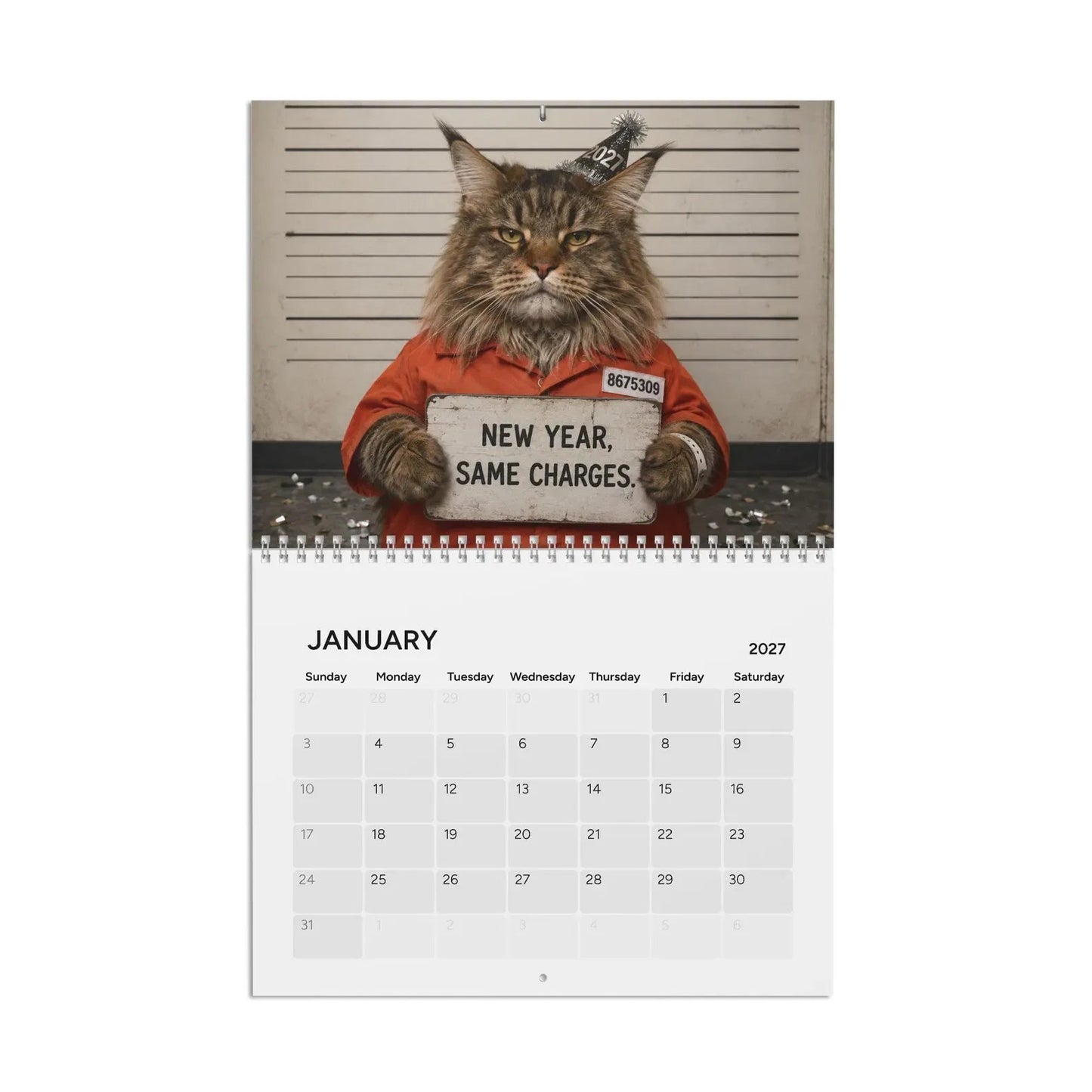 😂 Funny Cat Mugshots 2027 Calendar 📅