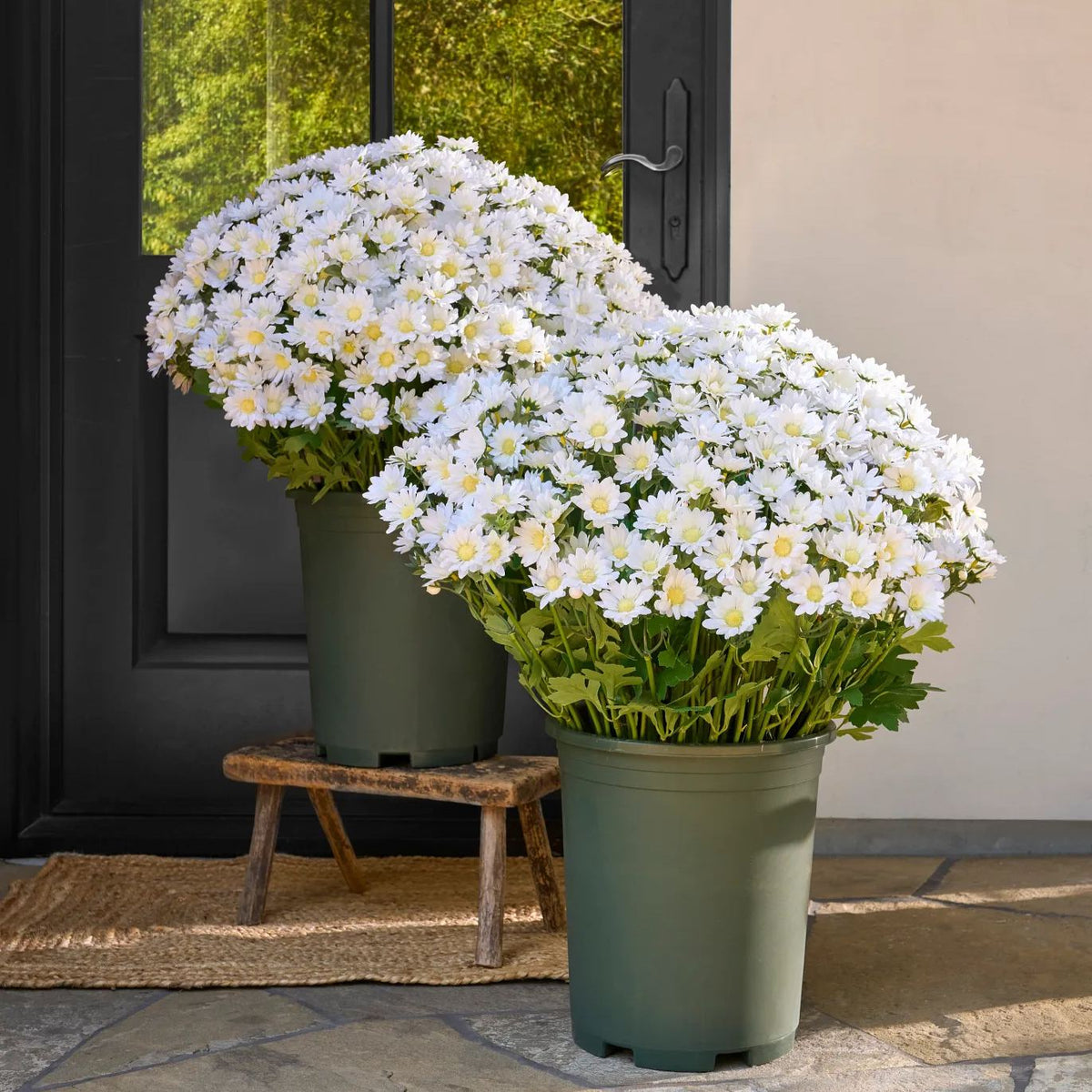 ⚡Last Day 70% OFF🌼Welcome autumn- Artificial Outdoor Sunset Mums Flowers - UV resistant, Waterproof, Windproof